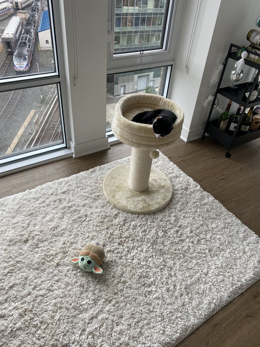 here's TOBARI ZOÉ PIERCE Zoe Pierce (@zoehpierce) / X