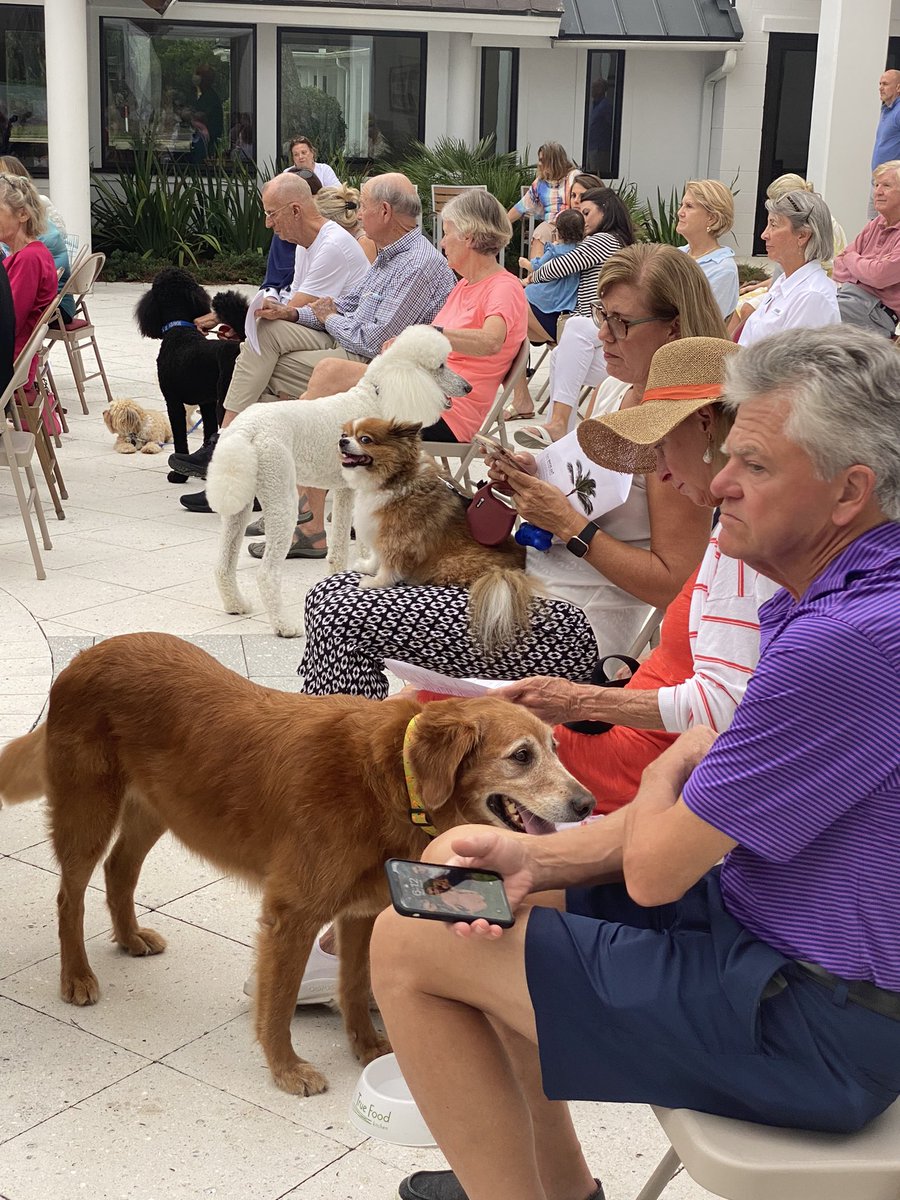 CCPVB's tweet image. The Wednesday night at 6 pm bring your furry, feathered, finned, or scaled companions to the courtyard at Christ Church for a special blessing at our St. Francis Day celebration!