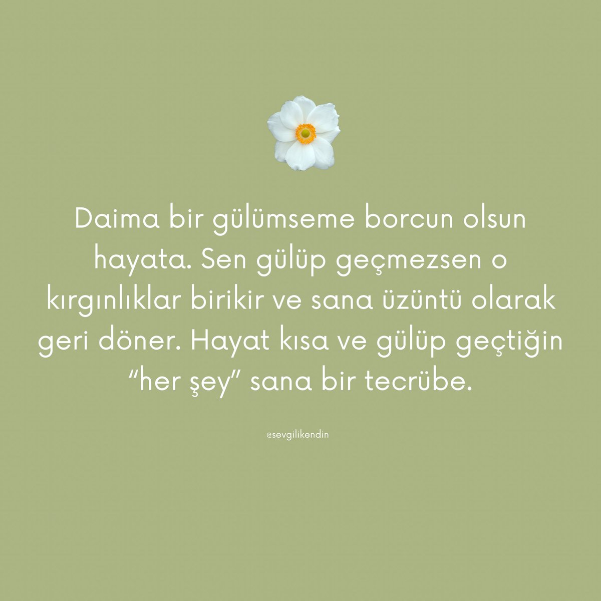 Sevgili kendim, (@sevgilikendin) on Twitter photo 