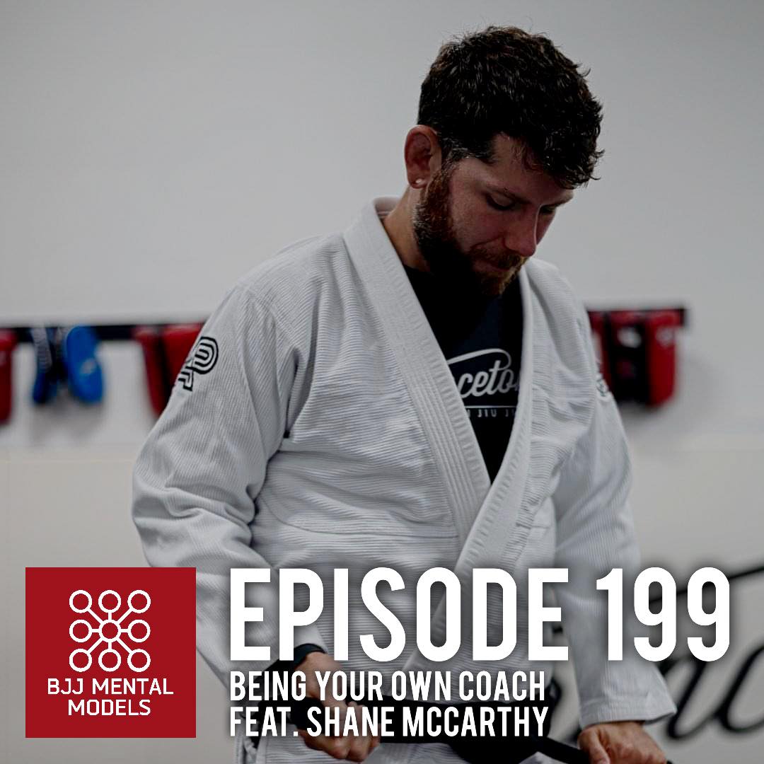 BJJ Mental Models tweet media