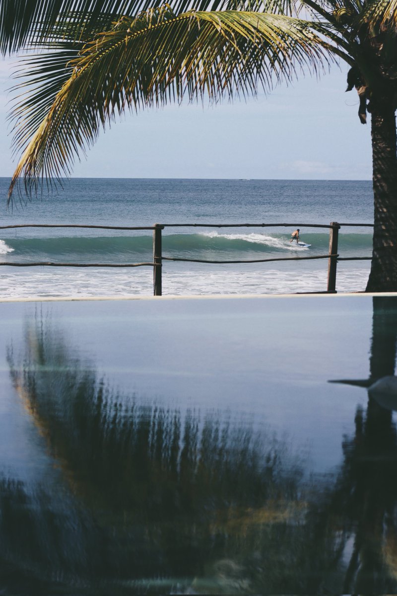 V E N A O  V I B E S 🔆