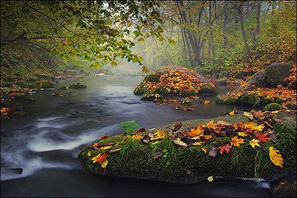 frozan341's tweet photo. زیبا می‌کند
ردِپای تابستان را 
برگ های خزانی.

ف.فرزام https://t.co/1hGZruEcj1