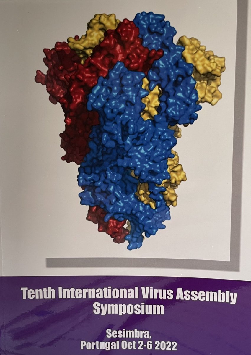 Iris Medits (@irismedits) on Twitter photo An exciting week has started at the 10th International Virus Assembly Symposium 😊  
Day spent with great talks on #COVID19 and vaccine development, virus entry mechanisms and fascinating virus structures An exciting week has started at the 10th International Virus Assembly Symposium 😊  
Day spent with great talks on #COVID19 and vaccine development, virus entry mechanisms and fascinating virus structures