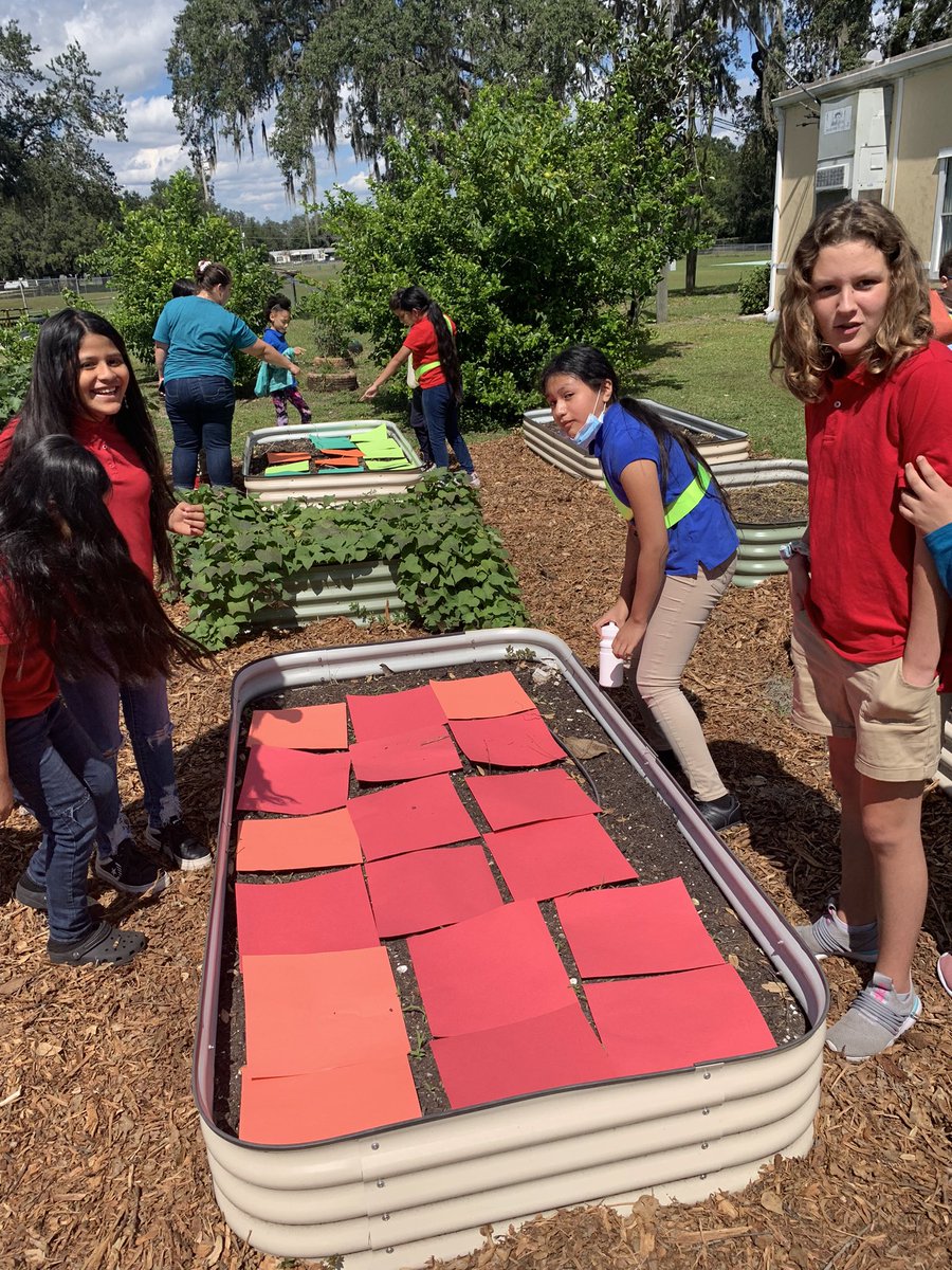 GardenMort's tweet photo. #gardengnomies worked together and measured the area and perimeter to map it so they can plant it. @MortElementary @TransformHCPS @HCPSElemMath1 @HCPSElemScience https://t.co/QyIvNJgbZO
