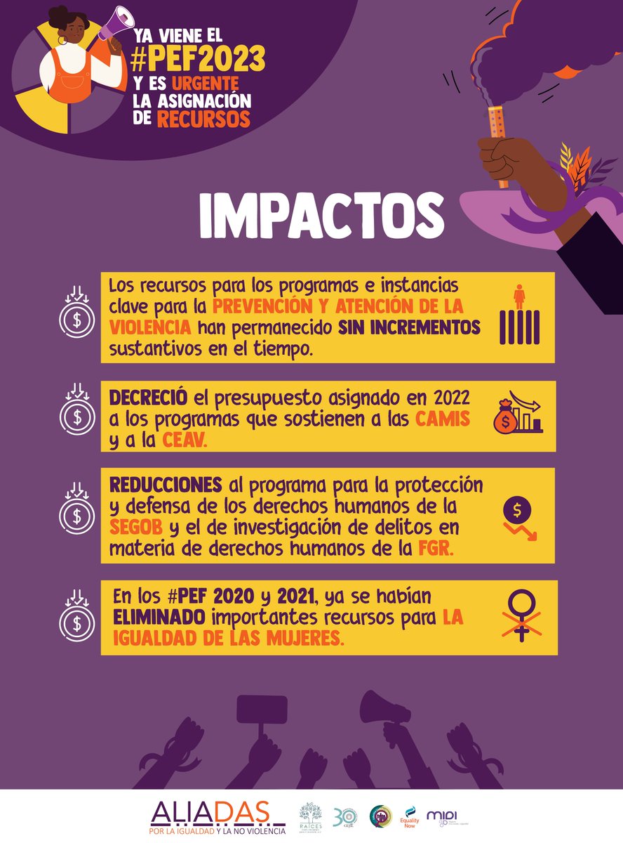 Aliadas por la Igualdad tweet media