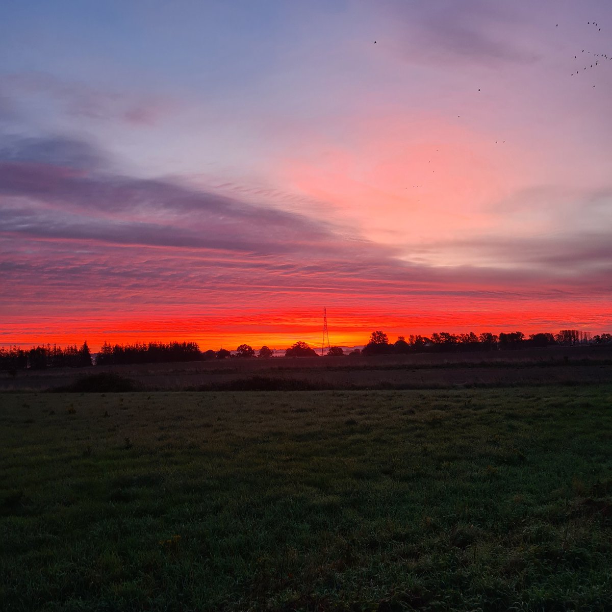 Morgansestates1's tweet photo. Dawn skies. So beautiful #Shropshire #rednal https://t.co/BGaM6Q1Rar