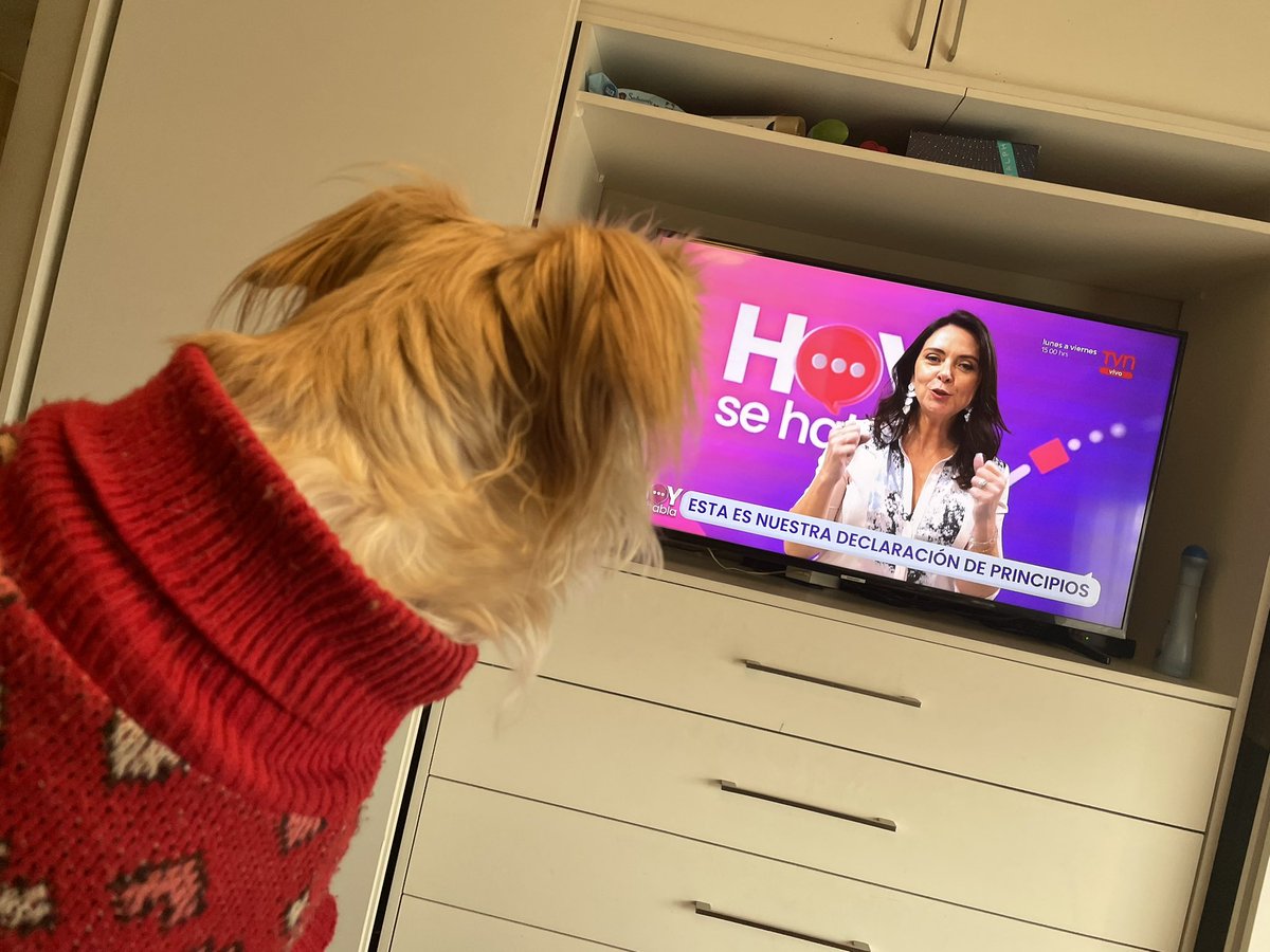 Que refrescante forma de ver actualidad por la tarde! #HoySeHablaTVN …Salutes equipo! <a href="/hoysehablatvn/">Hoy se Habla</a>