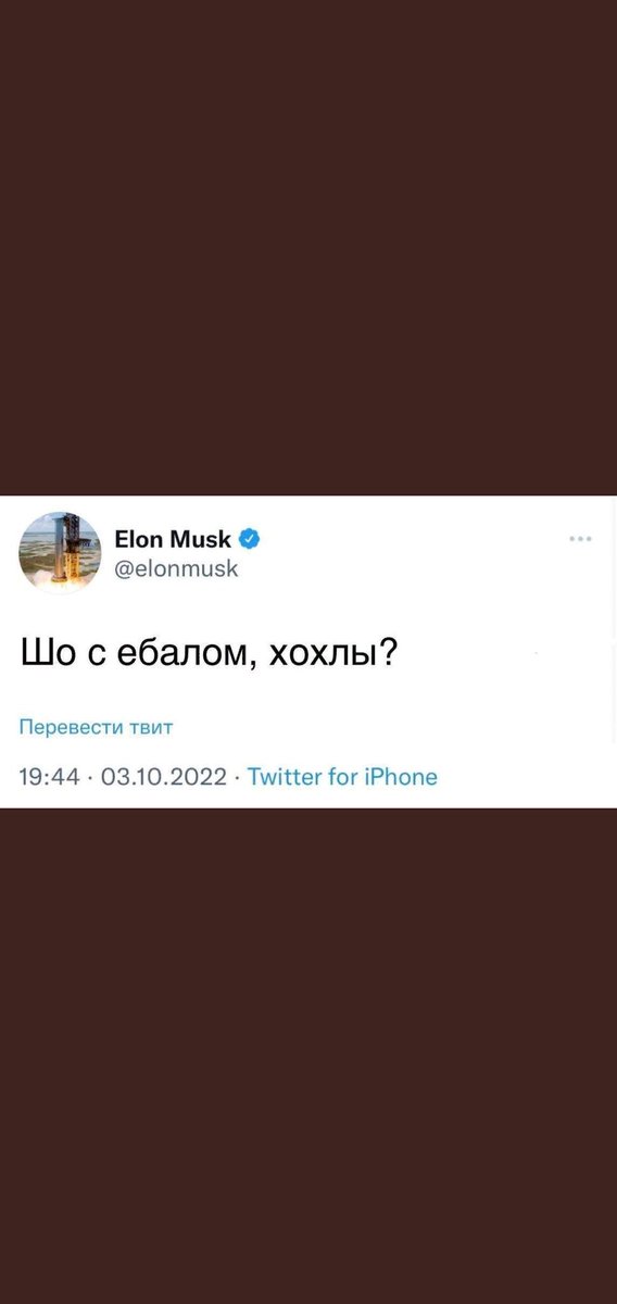 Катя tweet media