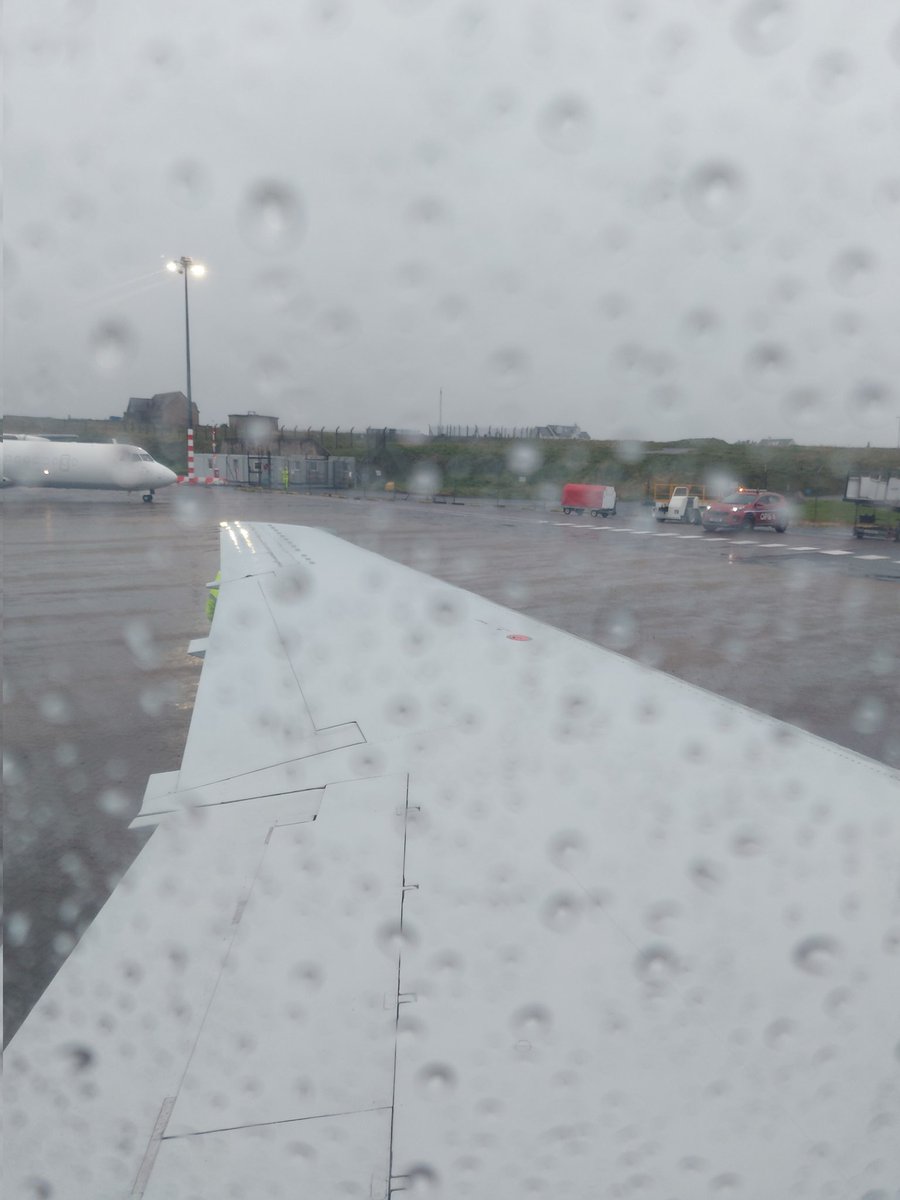 Morna O'May, CVA, FRSA tweet media