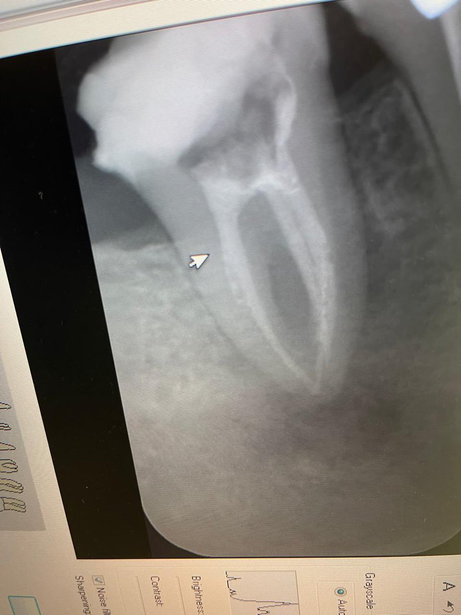 Mohammad Alotaibi tweet media