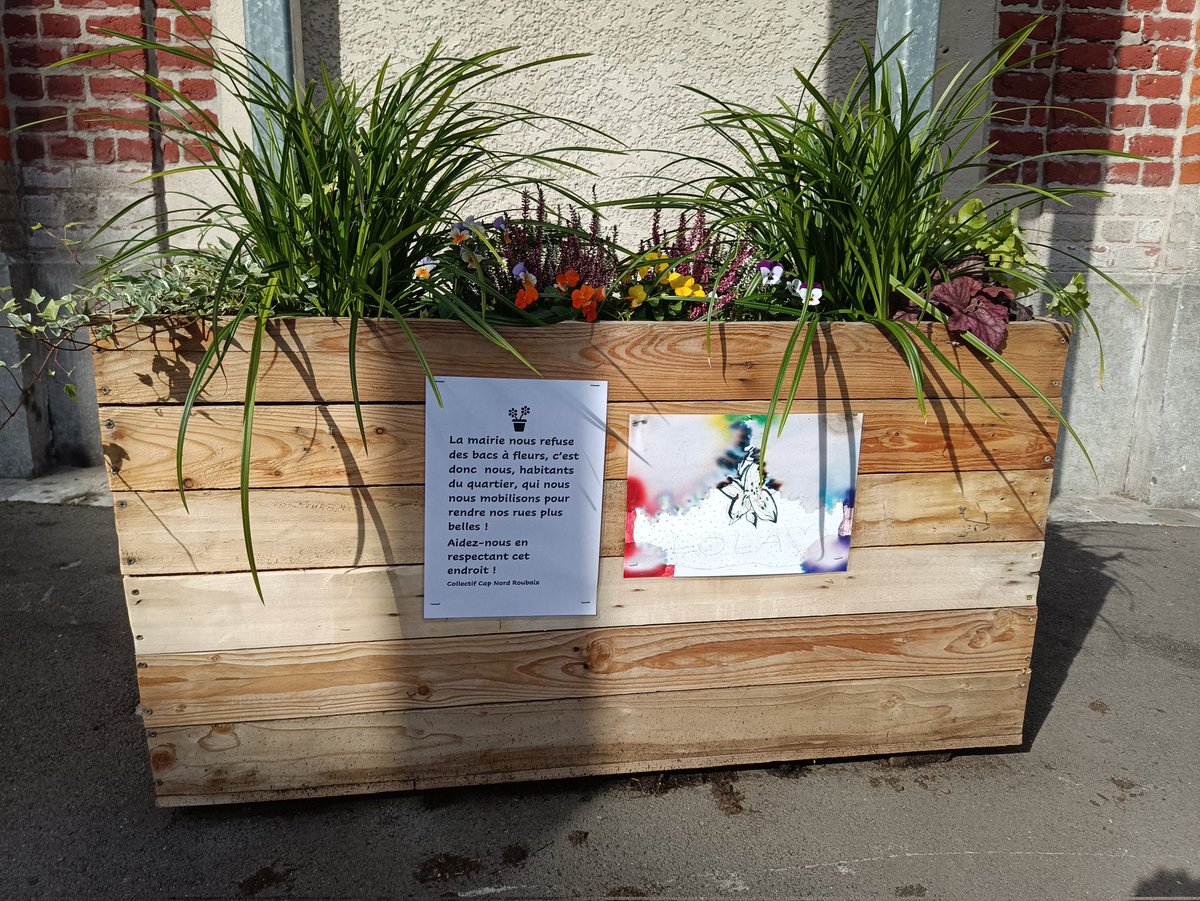 Zitoon Rezo tweet media