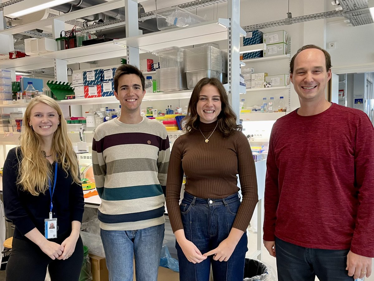 SalehLabParis's tweet photo. Today we welcomed new members of the crew. Introducing: Maddie (undergrad), @CastelloSanjuan and @InesPartouche0 (PhD students), @BenjaminKopek (visiting professor). Great science and great times await. Full steam ahead! #PILife #LoveVirology #ProudMentor https://t.co/kivkpnQqYc