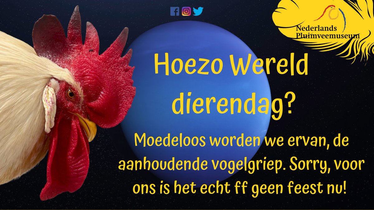 pluimveemuseum's tweet photo. Sinds de #epidemie in 2021 zijn 2.467 uitbraken geconstateerd. Over 37 #Europeselanden verspreid zijn 48 miljoen besmette en gezonde #vogels #geruimd. Ook #wildevogels zijn getroffen. Hoe gaan jullie ons helpen?
#wereld #werelddierendag #dierendag #vogelgriep https://t.co/4Ug8cRvAEM