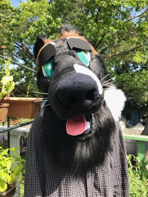 fancyfishfurs's tweet photo. This borzoi is up on the dealers den! RTs appreciated! https://t.co/BZ6WcwJjpQ https://t.co/YXx9LpZ37E