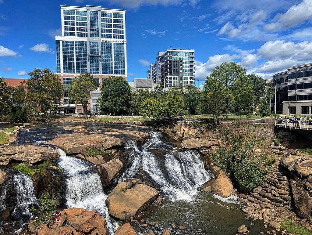 Cape Fear Gear tweet media