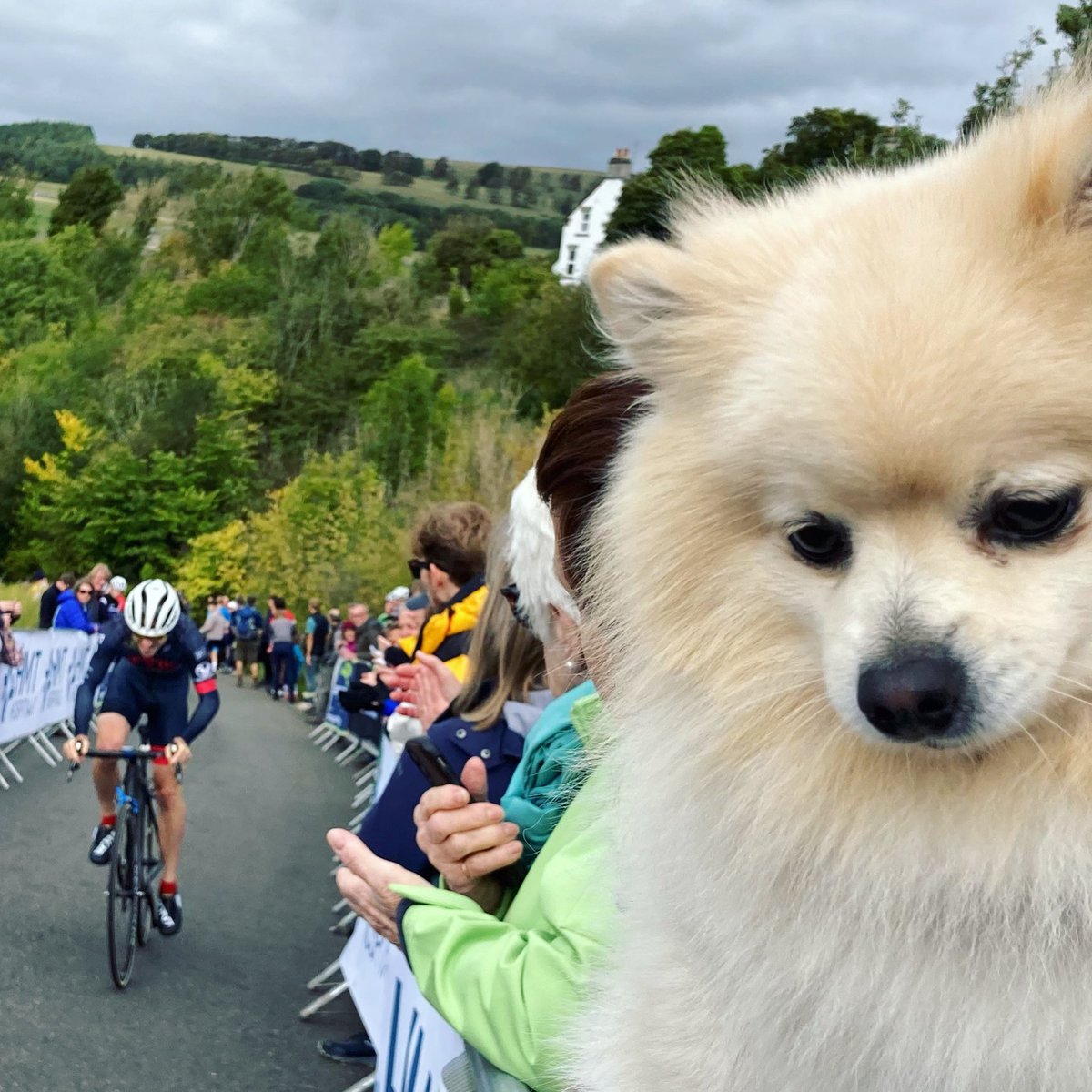 Monsal Hill Climb tweet media