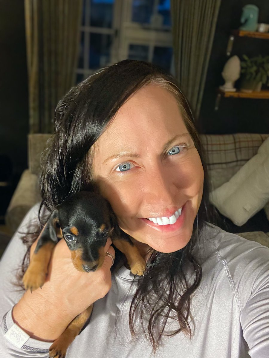Need a name just in case he stays…. 

All suggestions ⬇️ 

*reposted due to my illiteracy 😤😤

#sausage #sausagedog #sausagedogpuppy
