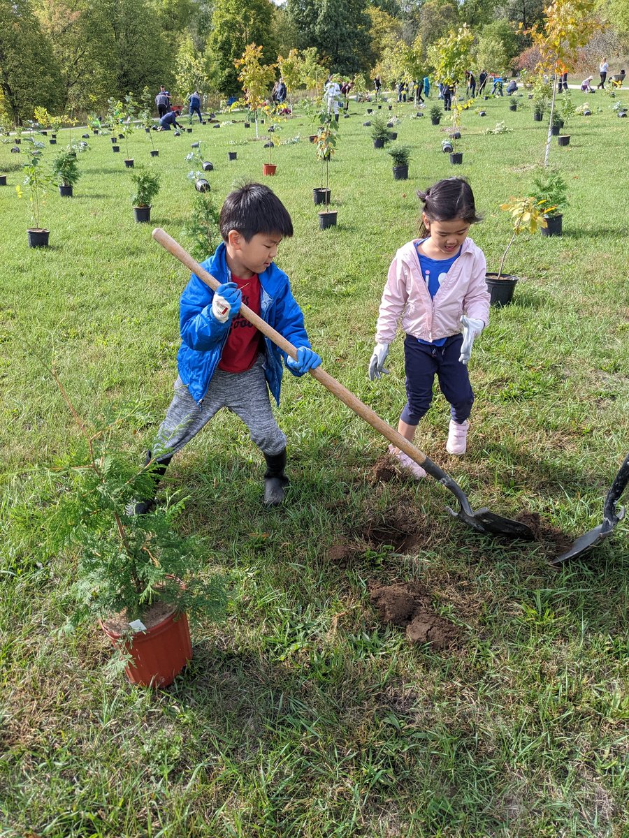 With my awesome TDers volunteering for #TDTreeDays!  We planted 350+ trees in the Lion's Centennial Park!
<a href="/carolyngallach3/">carolyn gallacher</a> 
<a href="/Condelloe/">Ester Condello</a> 
<a href="/CaraORay2/">Cara O'Ray</a>