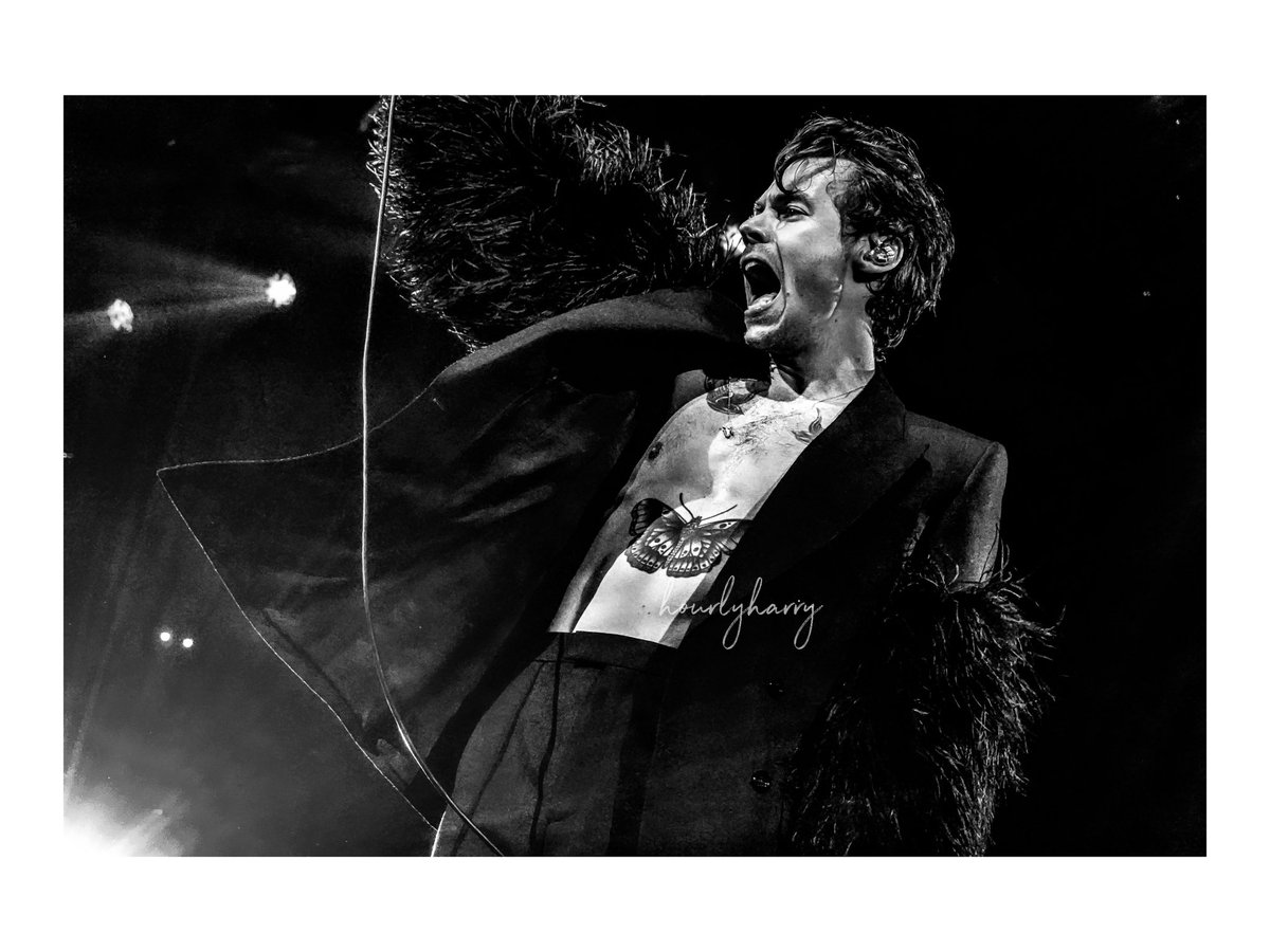 Hourly_Harry's tweet photo. A year since MSG Night 1 October 3, 2021.
#hslotnyc1 #HarryStyles #laneone #HarryStylesLoveOnTour2021 https://t.co/DGtv3dXIOj