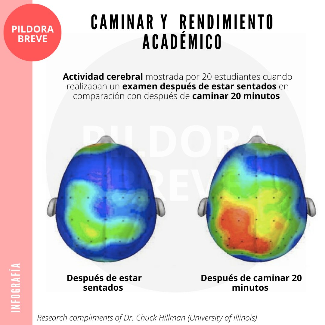 📊 ¿Por qué no incrementamos, por tanto, las horas de Educación Física para lograr un mayor rendimiento académico en general?
#ef1horadiaria #ejercicio #cerebro #escolar