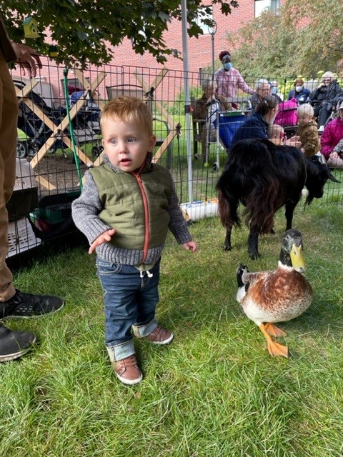 The Lutheran Home tweet media