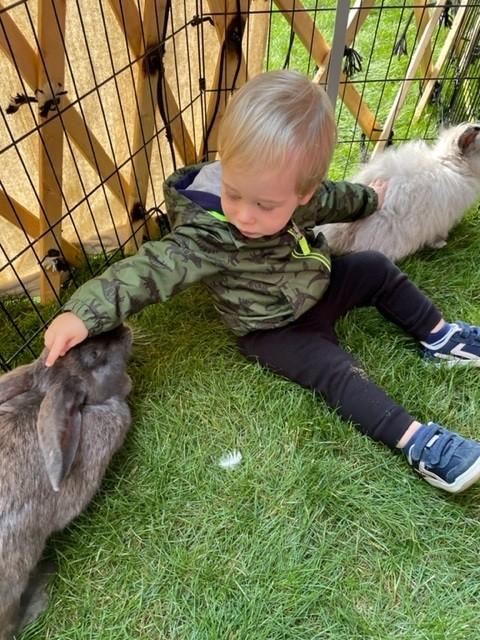 The Lutheran Home tweet media