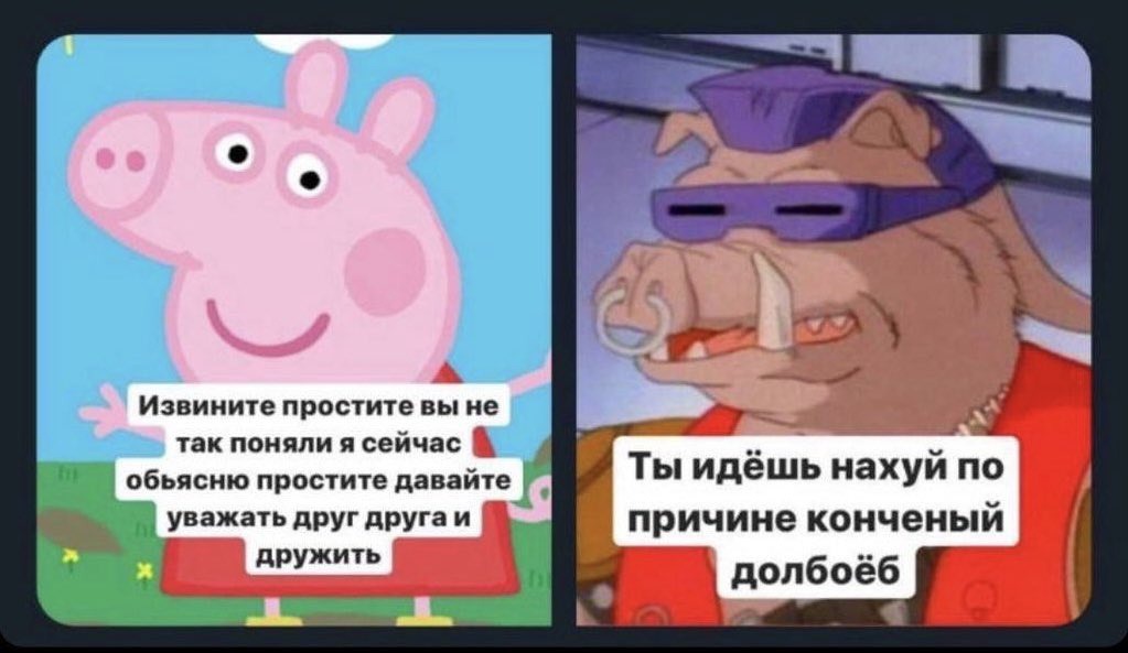 Ilya Novikov tweet media