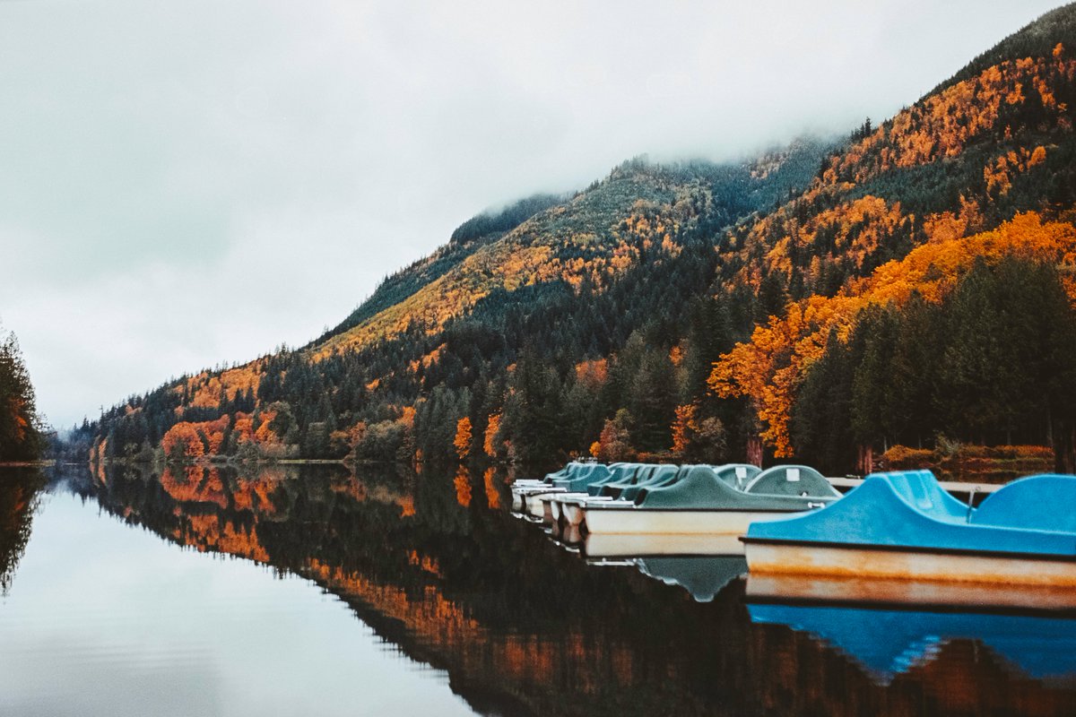 johncwingfield's tweet photo. Autumn mood on 35mm film https://t.co/WqIlyqXJX7