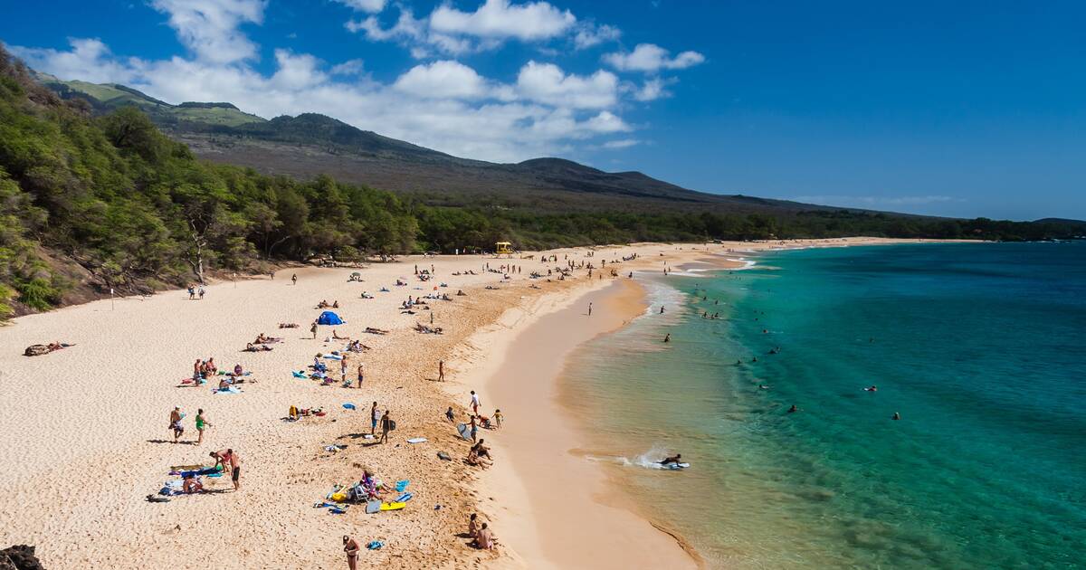 travsimHQ's tweet photo. Top 5 USA beaches to visit in November (2022 Vacation guide) https://t.co/EjwEPtc8JF

#usabeaches #vacationguide #travSIM https://t.co/3XfB7rus66