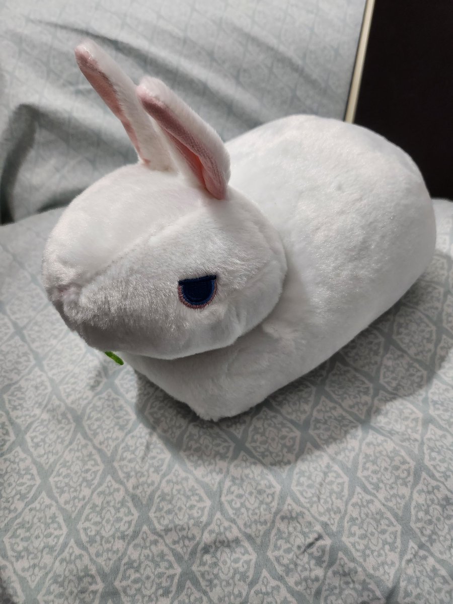 SuspiciousStare's tweet photo. IMPOSSU IS HOME @zeldacw 
(((o(*ﾟ▽ﾟ*)o))) perfectly loafed~~~ https://t.co/siUlpxI7WN