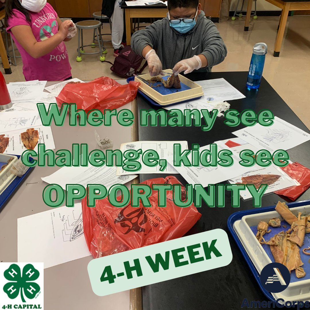 4-H CAPITAL (@4hcapital) on Twitter photo 