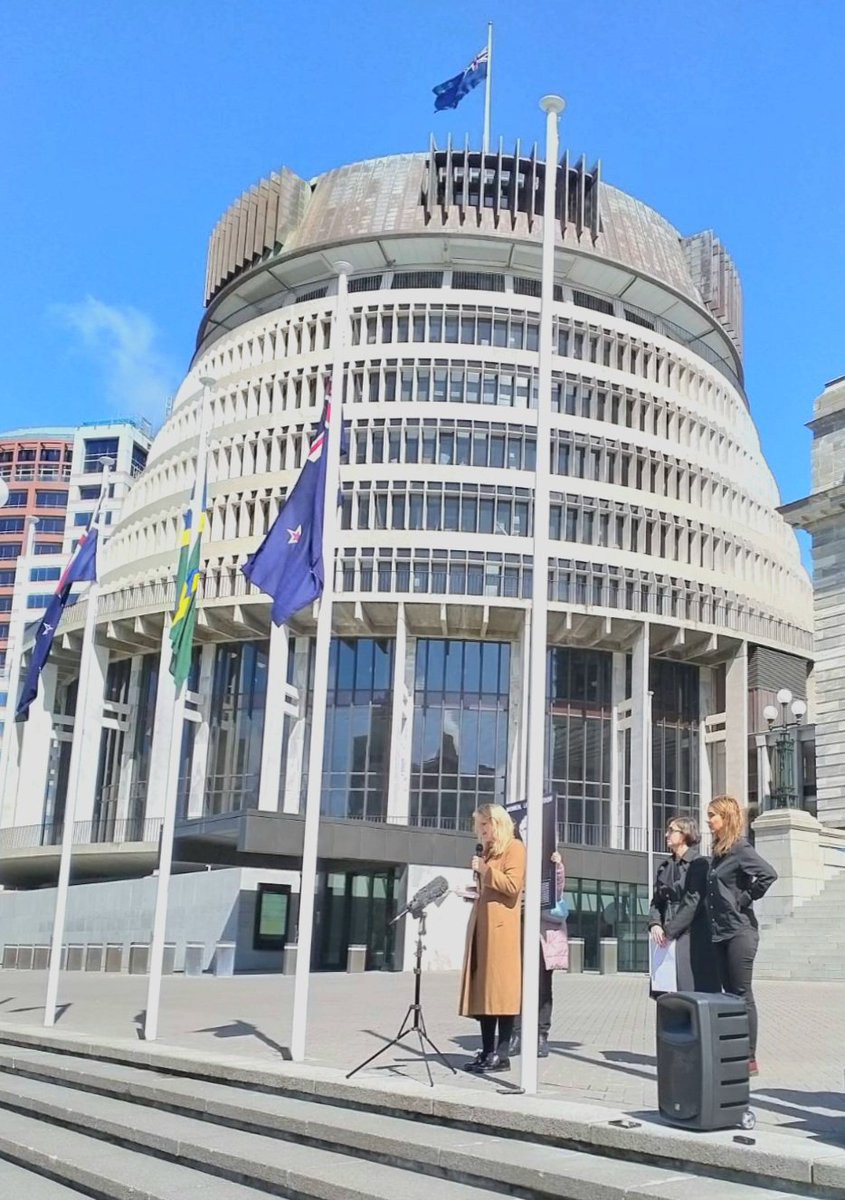 AmnestyNZ's tweet photo. NZers standing in solidarity with #IranProtests as @AmnestyNZ joined the Iranian community to hand over two petitions to @golrizghahraman to condemn the violence after the killing of #MahsaAmini and ensure an independent UN mechanism for investigation and accountability. https://t.co/dFKQEj4483