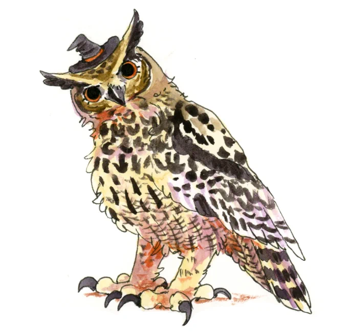 HOO! 