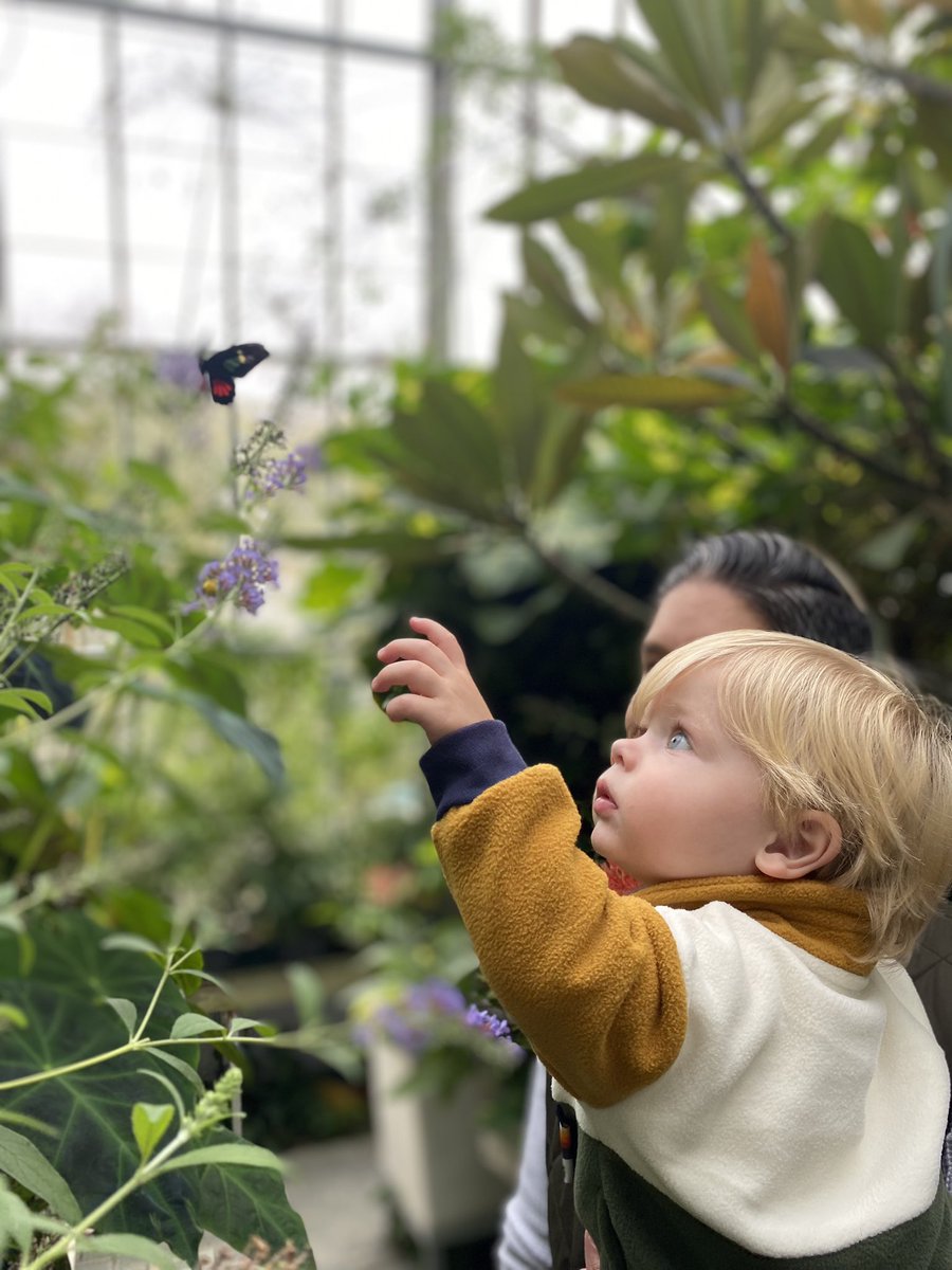 Kicking off the #ocsbGratitude Challenge with what I’m thankful for in nature 🌱🦋 Thank you <a href="/LetsTalkScience/">Let's Talk Science</a> &amp; <a href="/CarletonBiology/">Carleton Biology</a> for putting on this wonderful butterfly exhibit. Watching my son connect with nature brings me so much #ocsbJOY 💕