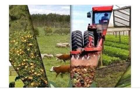 Todos los esfuerzos para garantizar la alimentación del pueblo.
Somos el grupo #FFaunaCuba
#AgriculturaCubana 
#CubaPorLaz