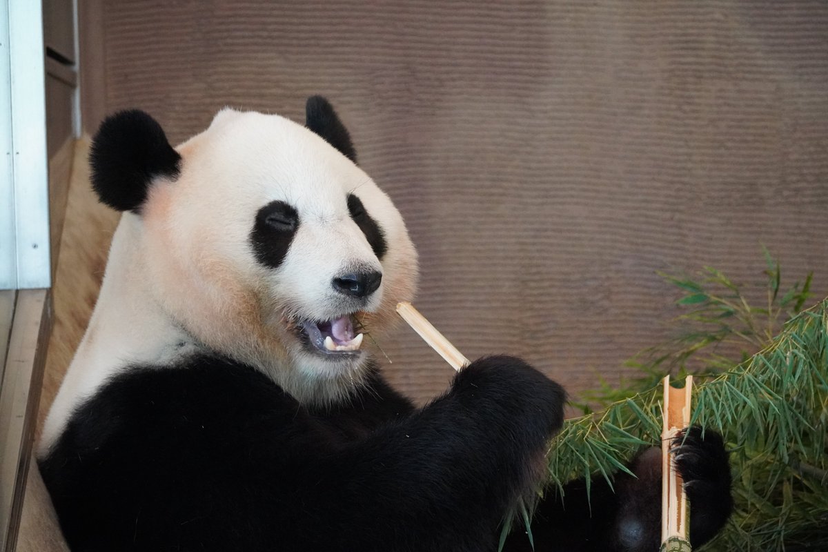 Qatobl68l0fzmm Qatobl68l0fzmm