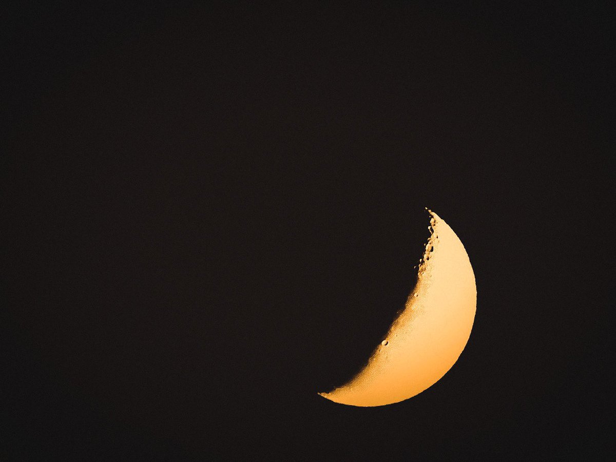 z4n4774's tweet photo. #nasaartemisprogram #nasaartemis #musk #ellonmusk #moon #moonphoto #moonart #nft #nftart #nftgallery https://t.co/6x3ctmcmQt