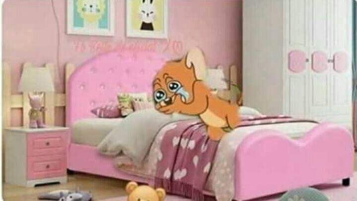 MirandaAgreste's tweet photo. Me senti vieja cuando Rosique dijo la sexta generación, he estado en todas #EstrenoExatlón https://t.co/qY2ppCAJHi