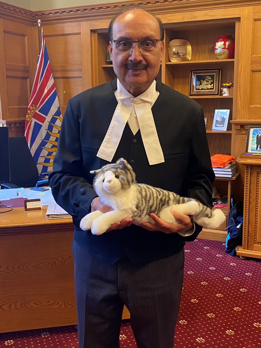 BCLegSpeaker's tweet photo. Let me introduce Macey the @BCLegislature cat. She is soft, cuddly, allergy friendly and doesn't require a litter box https://t.co/xNergntjFm