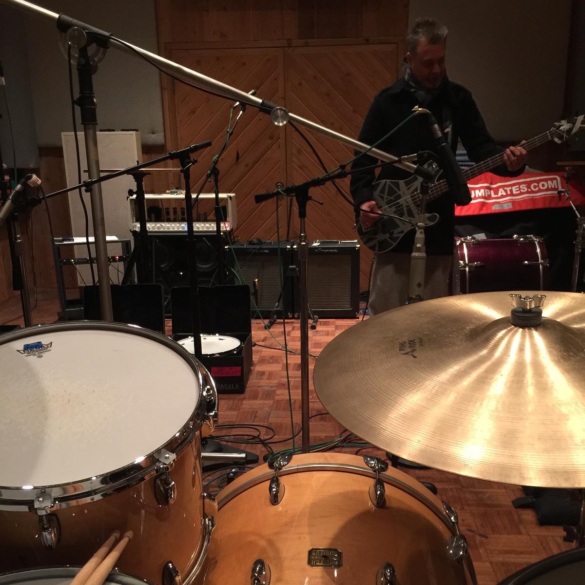 Wolf Van Halen tweet media