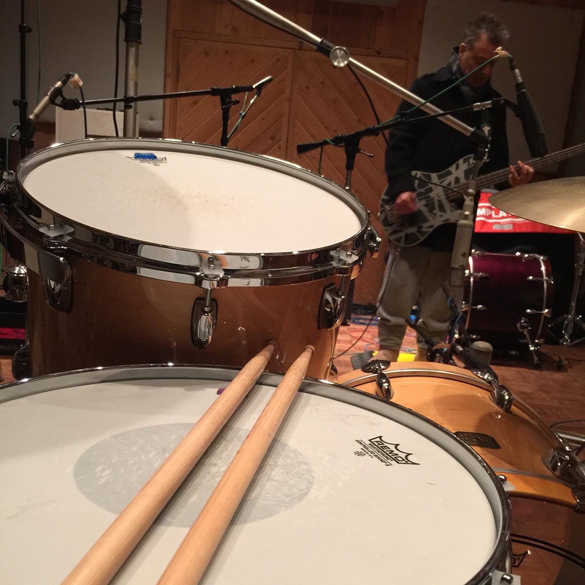 Wolf Van Halen tweet media