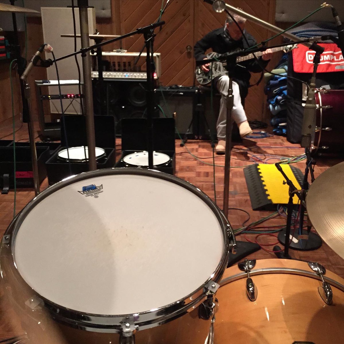 Wolf Van Halen tweet media