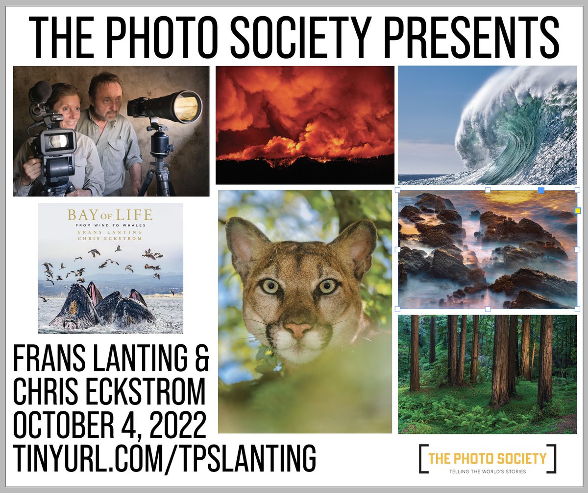 Frans Lanting (@lantingfrans) on Twitter photo Join Chris Eckstrom and I Tues. 10/4 at 9am PST for a virtual presentation about our new project, "Bay of Life". This event is a free webinar hosted by <a href="/thephotosociety/">The Photo Society</a>. Go to tinyurl.com/tpslanting to register. #photography #nature #MontereyBay #California #resilience Join Chris Eckstrom and I Tues. 10/4 at 9am PST for a virtual presentation about our new project, "Bay of Life". This event is a free webinar hosted by <a href="/thephotosociety/">The Photo Society</a>. Go to tinyurl.com/tpslanting to register. #photography #nature #MontereyBay #California #resilience