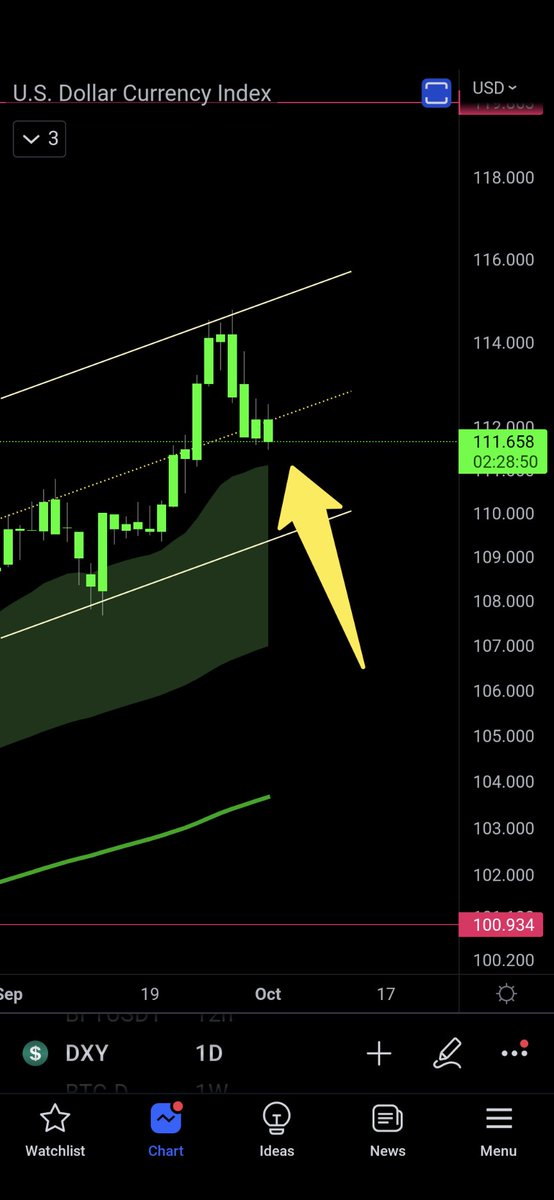 The $DXY is falling beneath the heart line. We are starting to see some decent moves in the crypto market because of it. Let's hope the DXY falls below the support of the channel and a big run can happen in crypto