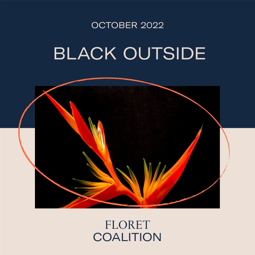 Treehouse_SC's tweet image. 💚✨ ¡Donamos regularmente a The Floret Coalition! Este mes donaron más de $10,000 a la organización "Black Incubator", que trabaja mucho para promover la equidad racial.

¡Mira con quién se asocia Floret para el mes de octubre! ¡¡Otra maravillosa organización sin fines de lucro!