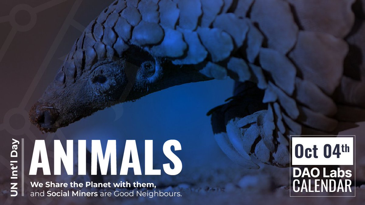 TheDAOLabs's tweet photo. We are not alone in this planet: Our neighbours were here far long before us. @TheDAOLabs salutes the people who #care for and #protect them.

#AnimalsDay #EnvironmentalSustainability https://t.co/XU7vRU5xq8