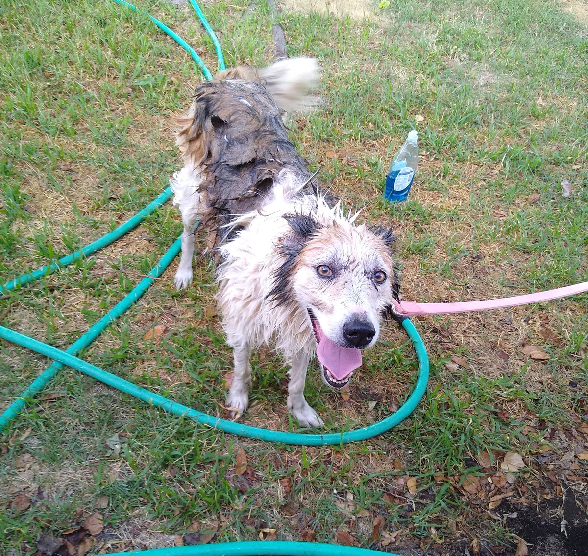 Beth Sullivan tweet media