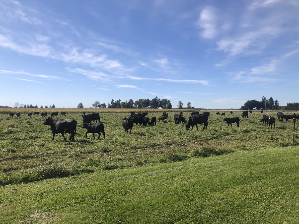 Carson Burtwistle (@burtwistle) on Twitter photo I kept saying: “I’ll believe it when I see it”. Jay Burtwistle is selling his cow herd, which means Oct. 15th @ Denfield Livestock Exchange will be a bittersweet day for our family. We won’t be completely out of the industry as <a href="/BurtwistleIan/">Ian Burtwistle</a> and <a href="/BurtwistleBen/">Ben Burtwistle</a> are keeping a few. I kept saying: “I’ll believe it when I see it”. Jay Burtwistle is selling his cow herd, which means Oct. 15th @ Denfield Livestock Exchange will be a bittersweet day for our family. We won’t be completely out of the industry as <a href="/BurtwistleIan/">Ian Burtwistle</a> and <a href="/BurtwistleBen/">Ben Burtwistle</a> are keeping a few.