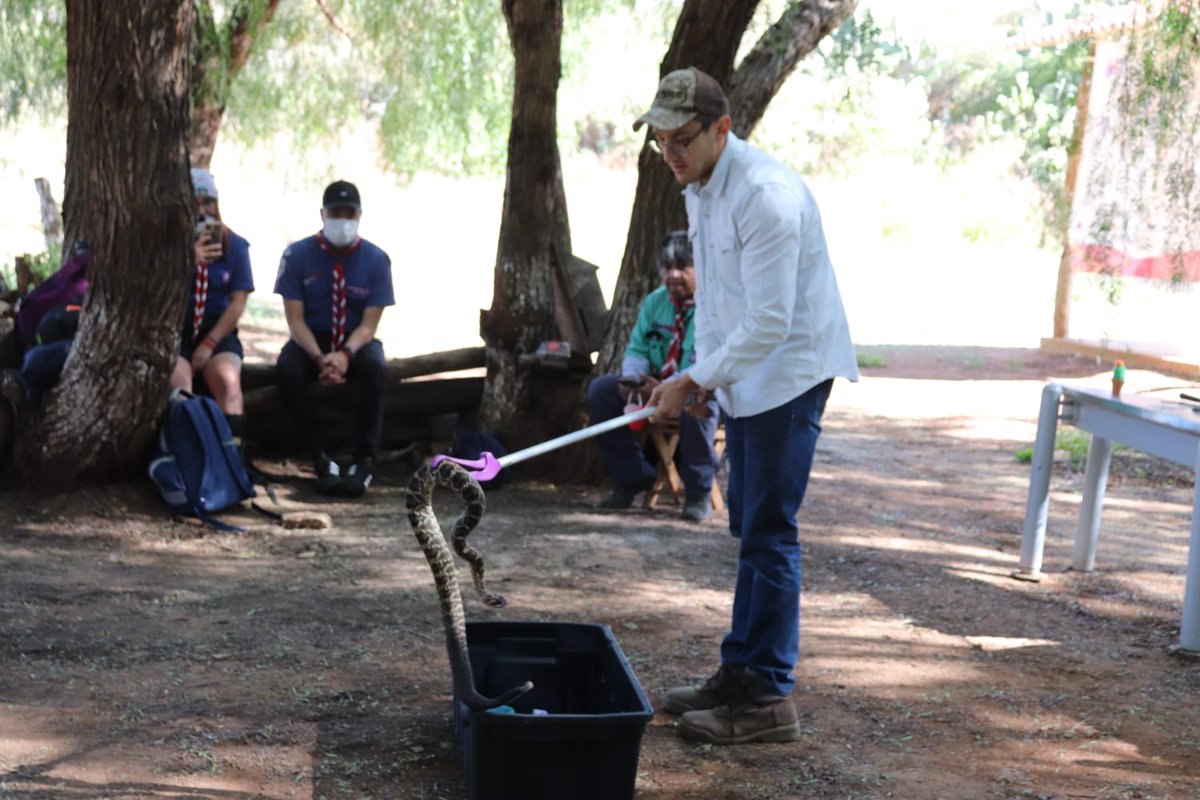 COZCyT's tweet photo. Como parte de las actividades del 17° Festival de las Aves, #COZCyT en colaboración con el Museo de Historia Natural de la #UAZ y @SAMA_Zac realizó actividades de educación ambiental, en las instalaciones de lo que será el Jardín Etnobiológico de Zacatecas, dentro de @Quantum_Zac https://t.co/HmjqWq2dI3