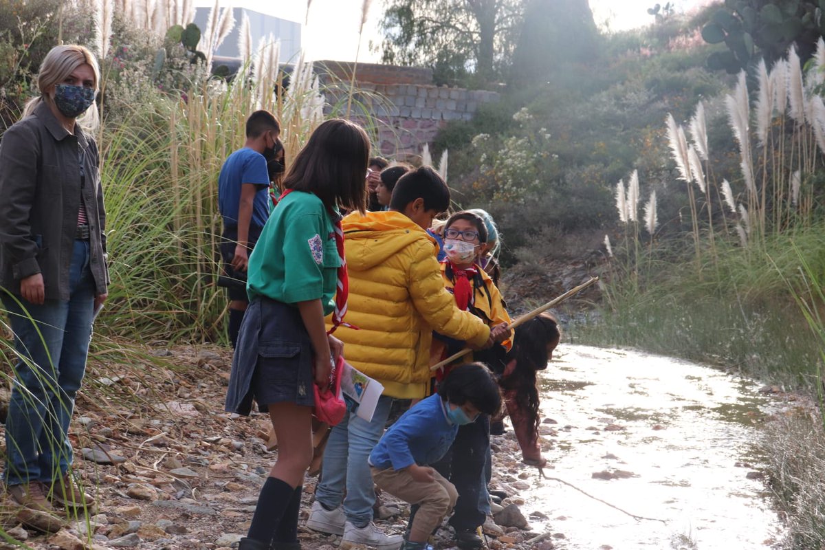 COZCyT's tweet photo. En las actividades participaron integrantes del grupo Scouts de Zacatecas, quienes además de recibir un taller para la observación de aves, recibieron charlas sobre los usos que se le da a la vegetación y el manejo de herpetofauna (serpientes de cascabel). https://t.co/UydMeeUIwV